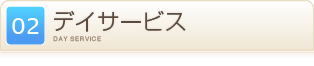�ǥ������ӥ�